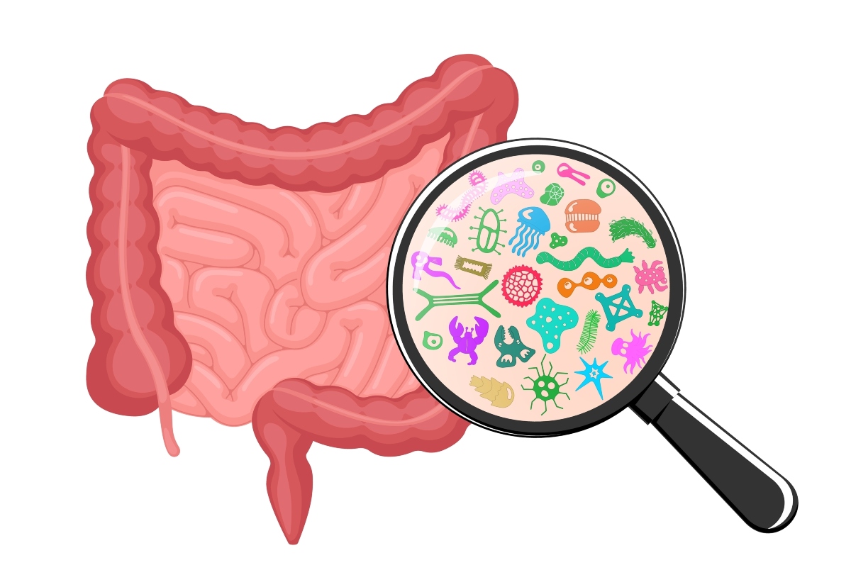 Alla scoperta del MICROBIOTA: cos'è, come, quando e dove farlo a Pescara
